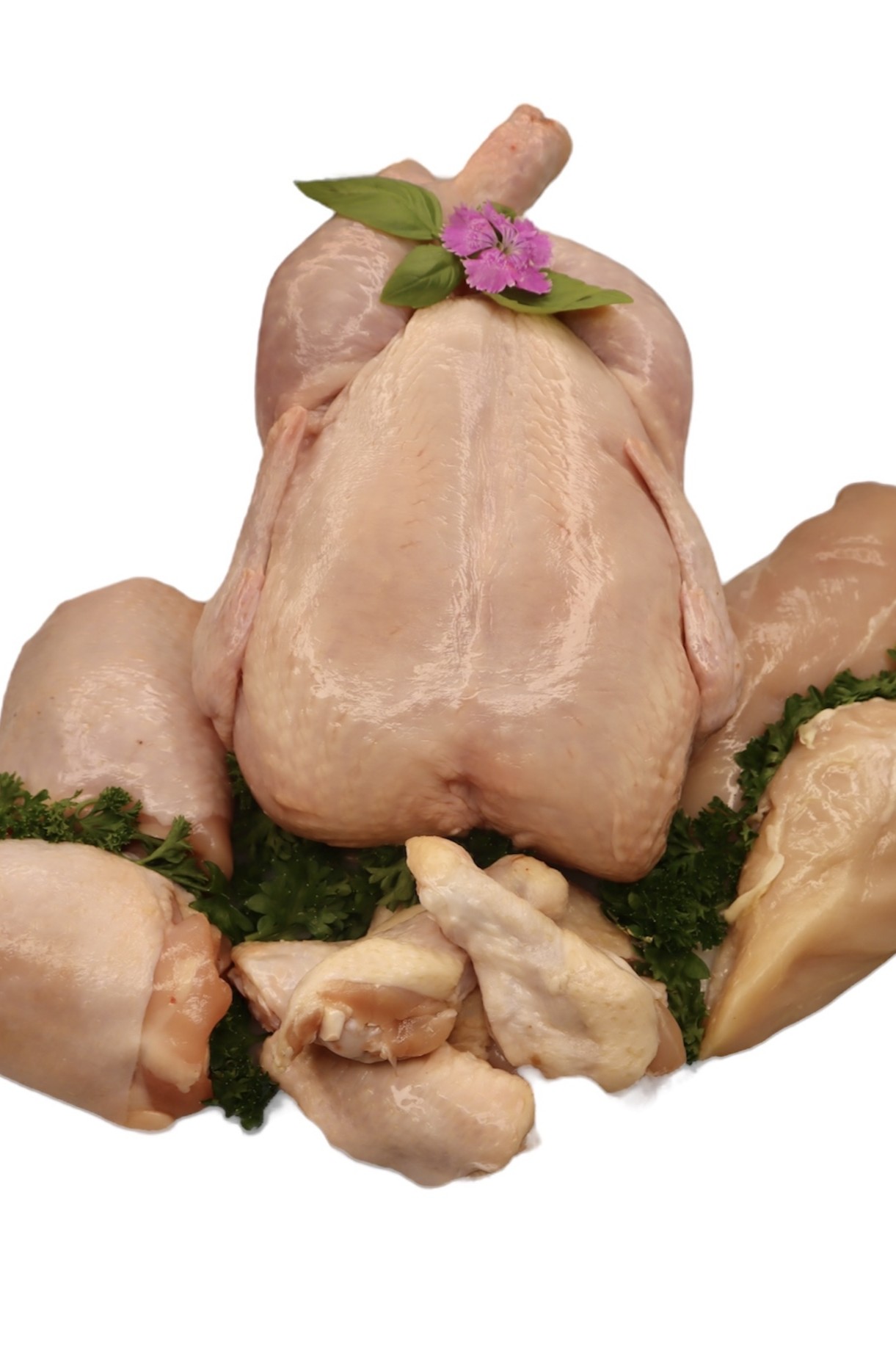 Chicken