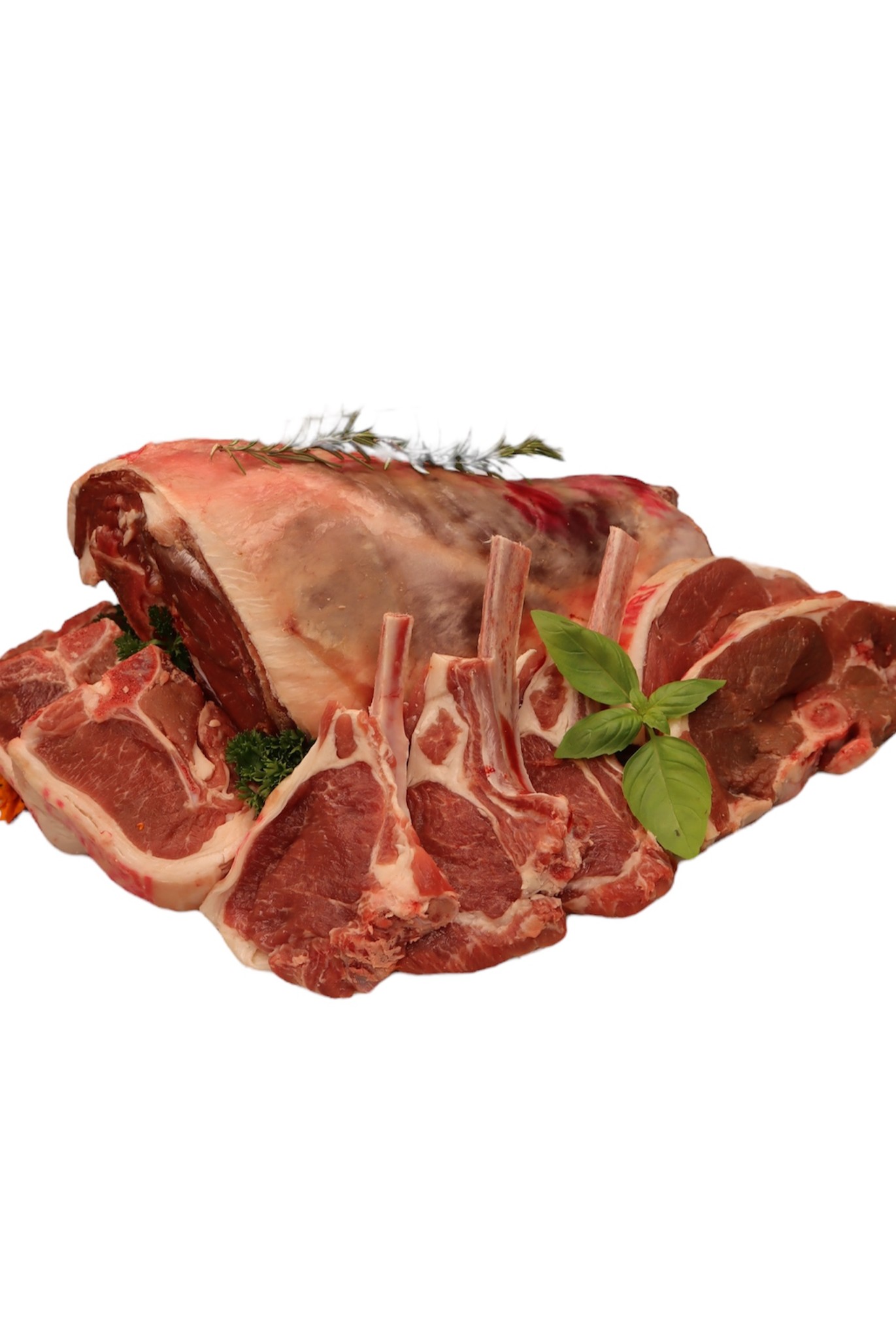 Lamb